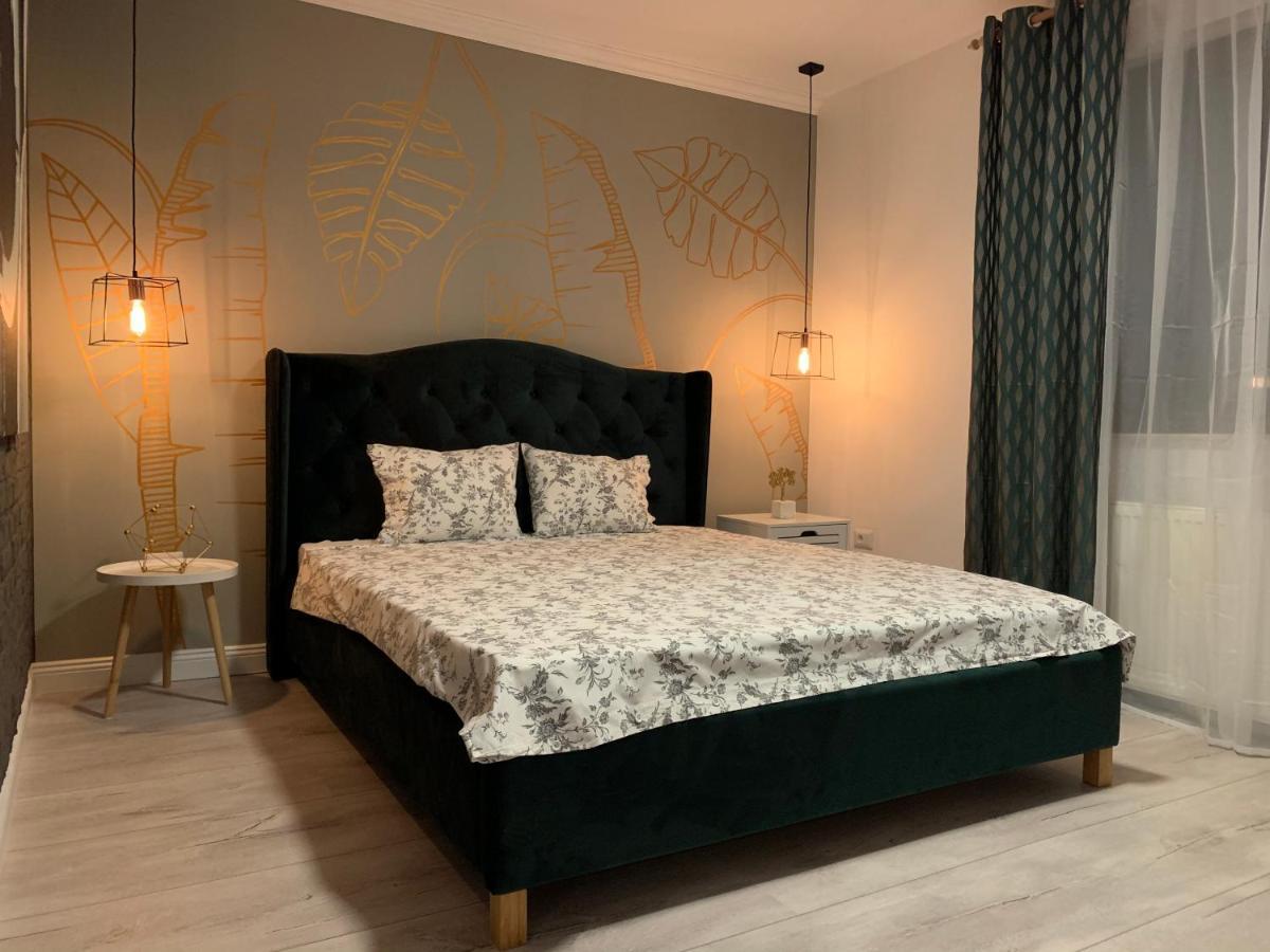 Best Apartment Scheia 苏恰瓦 外观 照片